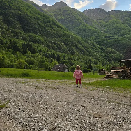 Hosner Apartment Lepena