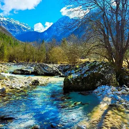 Hosner Apartman Lepena